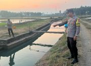 Lansia 87 Tahun Hilang Saat Gembala Sapi, Ditemukan Meninggal di Irigasi