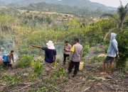 Kebakaran Lahan di Tapango Berhasil Dipadamkan, Polsek Tapango Bersama Warga Tetap Siaga
