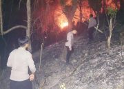 Kebakaran Lahan Seluas 2 Hektare di Desa Kurma Mapilli, Polisi dan Warga Berupaya Padamkan Api